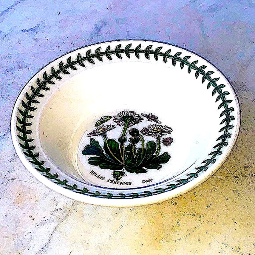 BOTANIC GARDEN BY PORTMEIRION CEREAL OATMEAL BOWL DAISY NEW ENGLAND